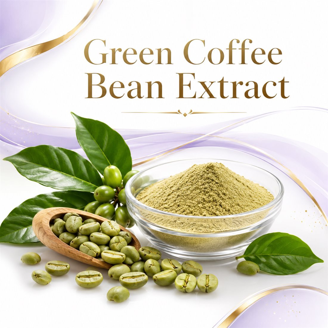 Green Coffee Bean Extract