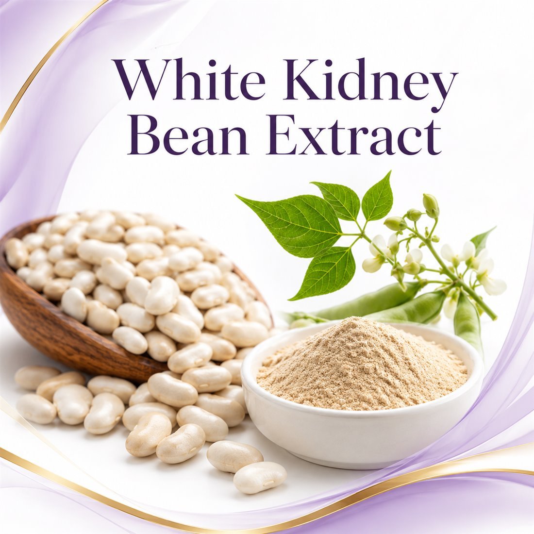 White Kidney Bean Extract